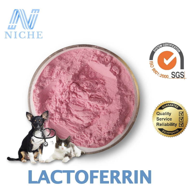 Antioxidant and Anti-Inflammatory Lactoferrin Supplements Pet Supplements Factory Wholesales CAS: 112163-33-4