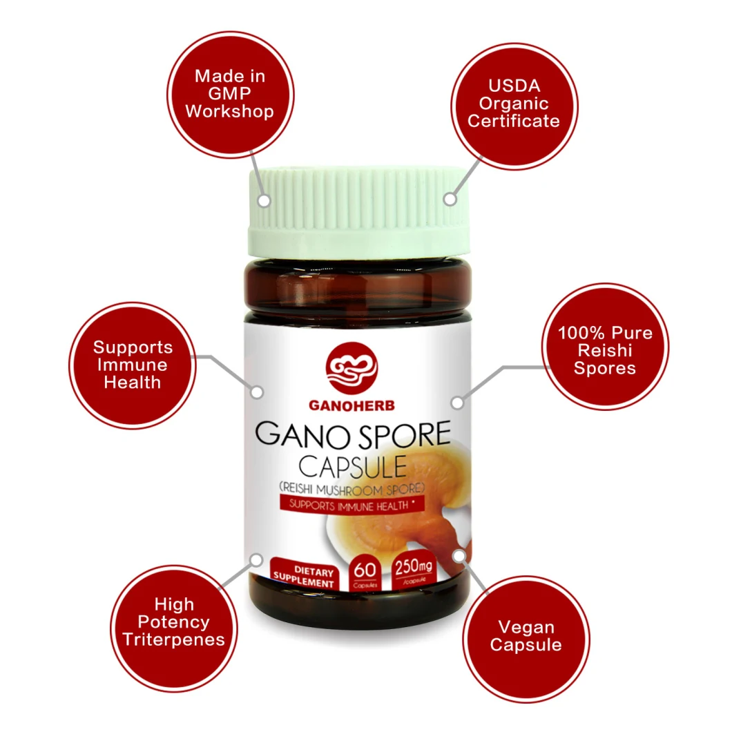 GMP Certified Wholesale Shell Wall Broken Organic Ganoderma Lucidum Spore Capsule Reishi Spore Capsule Herbal Supplement