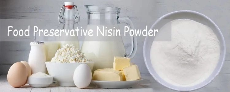 Nisin Natural Food Preservative with High Efficiency