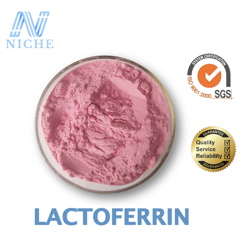 Bulk Bovine Lactoferrin Powder for Pet Supplements Stimulating The Immune System CAS: 112163-33-4