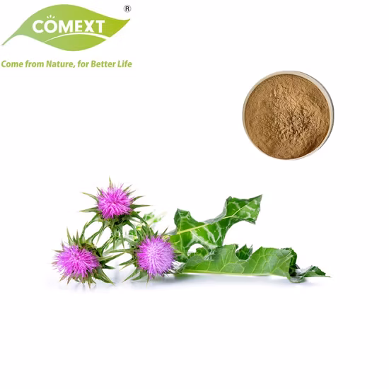 Personnaliser la poudre de collagène de protéine peptidique d'extrait de germe de maïs de haute qualité naturelle pure pour les soins de santé améliorer l'immunité