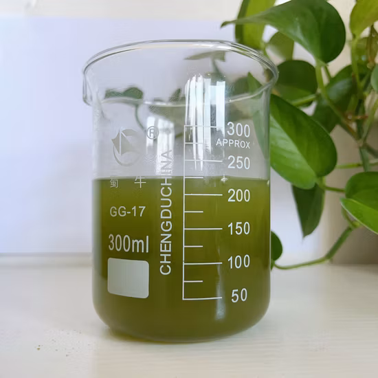 Poudre de champignons Reishi - Super aliment biologique pour la santé et la vitalité globales